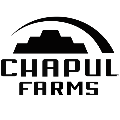 Chapul Cricket Protein